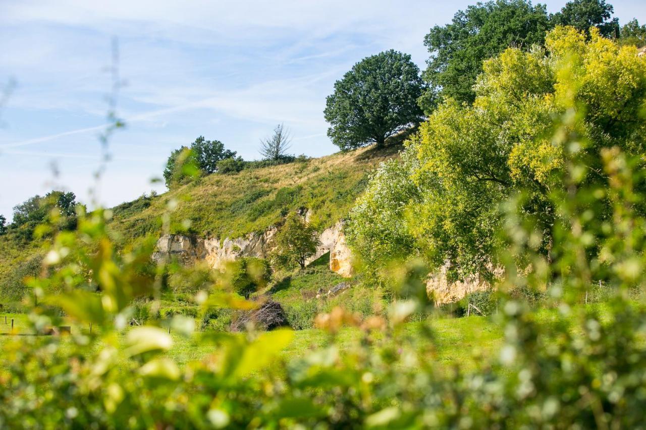 Berghotel Vue Berg en Terblijt Exteriör bild
